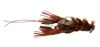 Side view of Chocklett Factory Craw Changer Fly Rusty Brown
