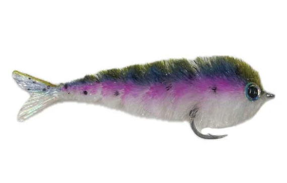 Chocklett Factory Finesse Changer Fly side profile in rainbow trout color