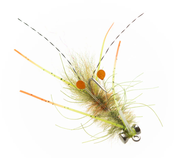 EP Ascension Bay Mantis Shrimp fly in Light Olive color