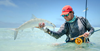 Buy Seychelles Fishing Flies Selection Online Action 2