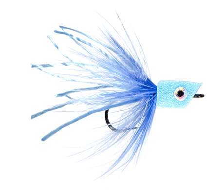 MFC Bluegill Popper Fly Damsel Blue color