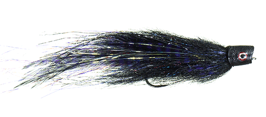 Strolis' Chuggernaut Fly in black color
