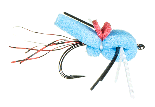 Maddin's Gill Scorpion Damsel color