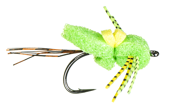 Maddin's Gill Scorpion Frog color