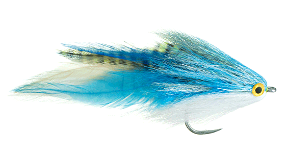 Shaughnessy's Nyacca Baitfish in holy mackerel color