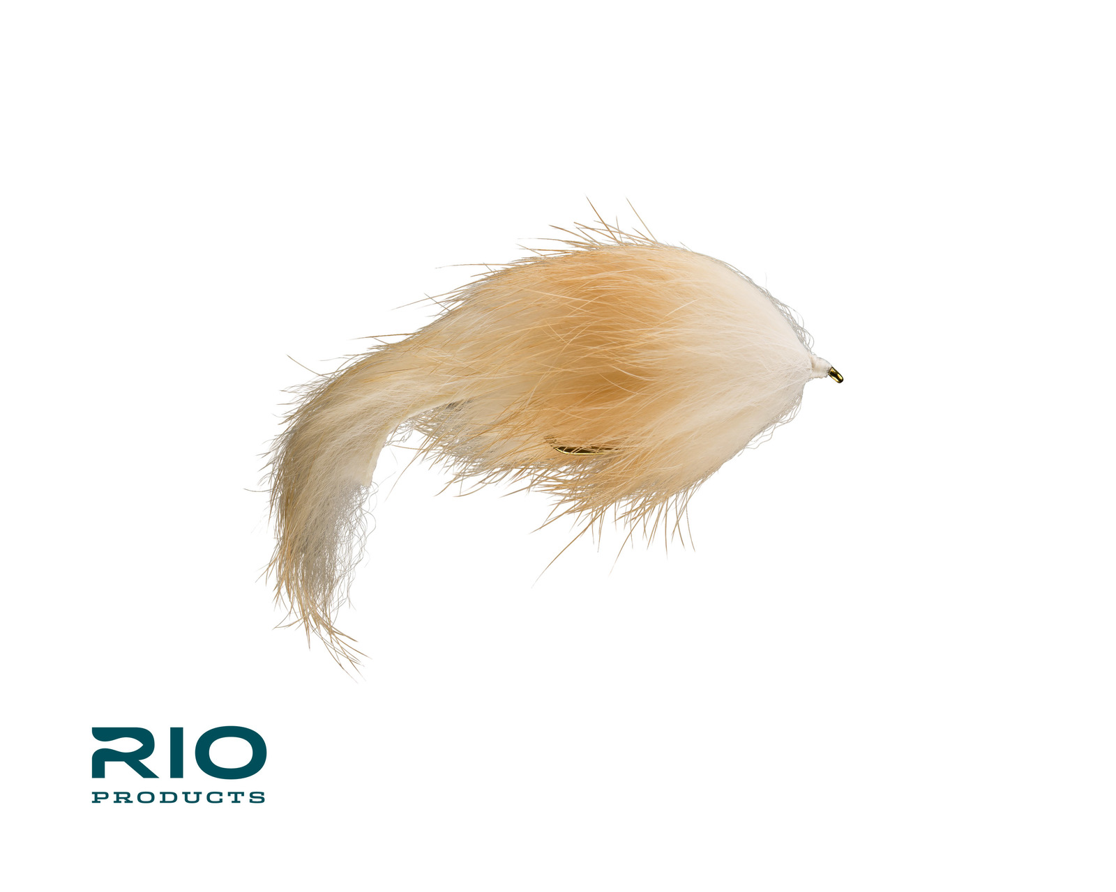 Flesh Fly - Lt Brown