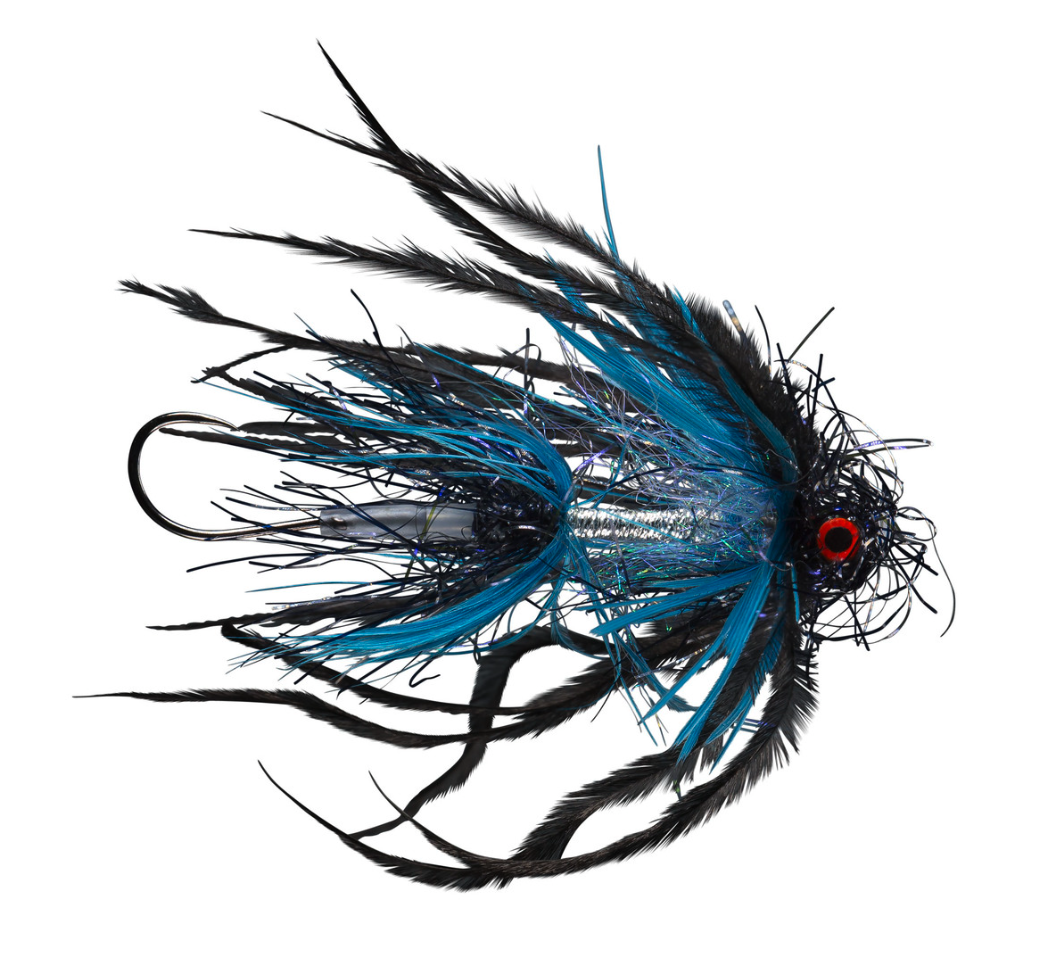 Black and blue Animal Spey fly for swinging Great Lakes steelhead in Wisconsin tributaries.
