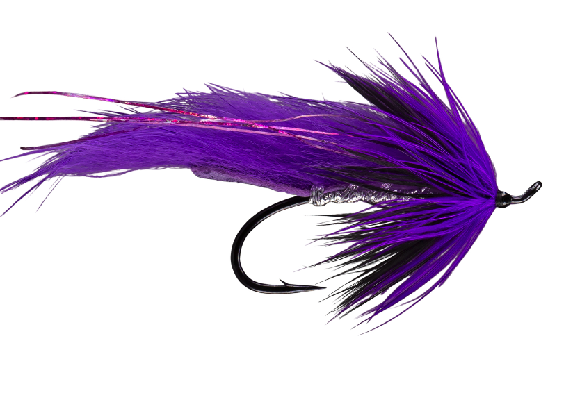 Bruiser steelhead fly buy online