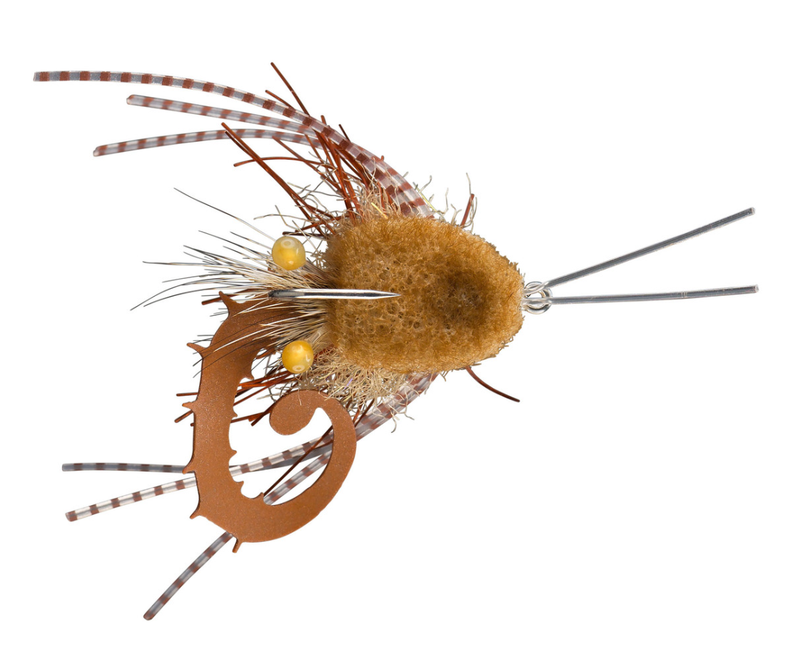 Top view of Feczkos Cheeseburger Crab Tan