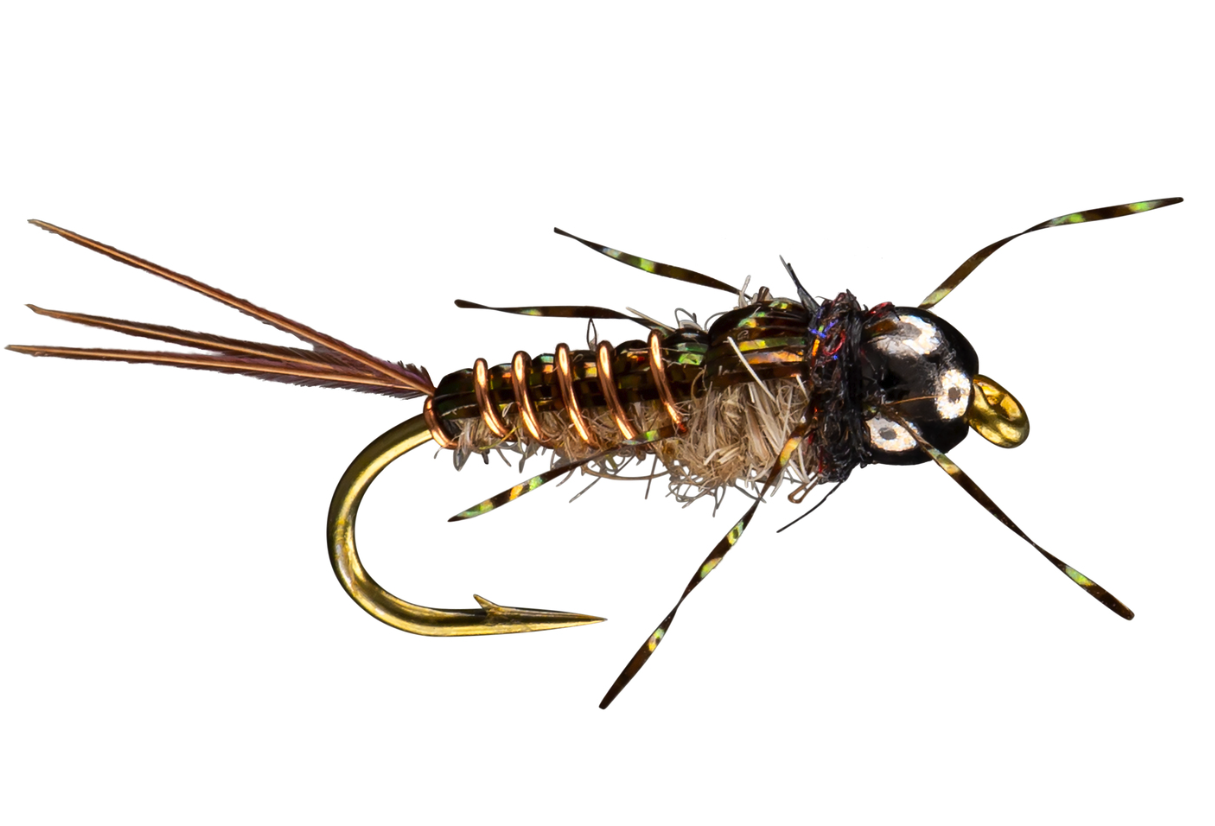 Order Morrish Anato-May flies online for the best in trout fishing nymphs for sale.