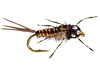 Order Morrish Anato-May flies online for the best in trout fishing nymphs for sale.