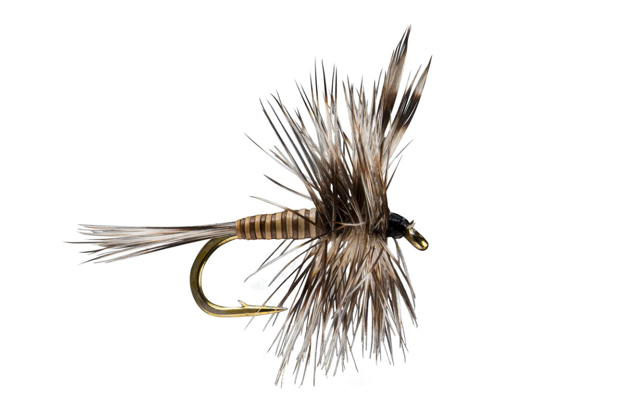 https://www.theflyfishers.com/Content/files/Flies/RIO/Mosquito.png