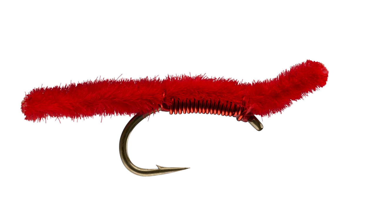 San Juan Worms for sale and available online