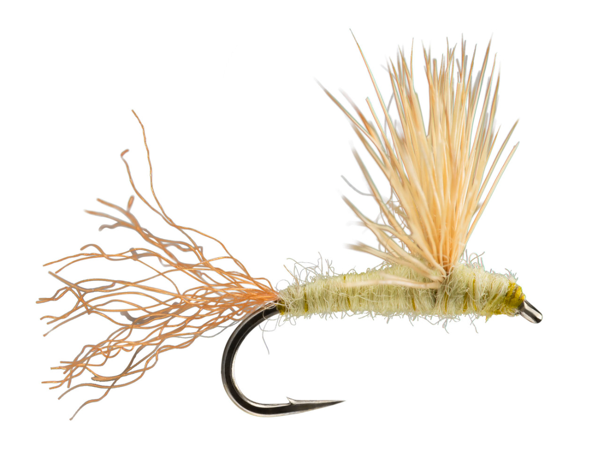 Sparkle Dun Dry Fly PMD color