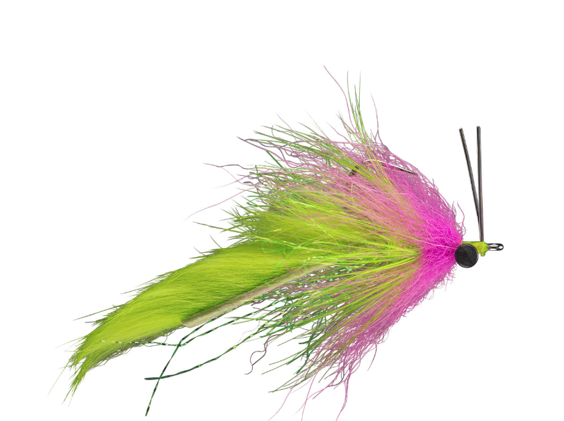 Swamp Fox Fly Fishing Fly