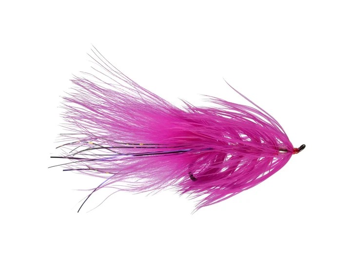 Pink B.B. Screamer streamer fly with long magenta feathers for swinging Great Lakes steelhead and salmon.