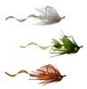 Three available colors of the Satkowski's Devil Dog Fly
