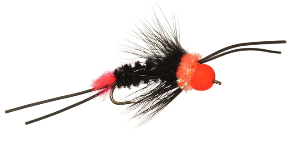 Best fly to have in your box when fly fishing for steelhead