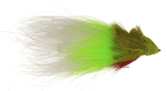 Best topwater diver patterns for largemouth bass