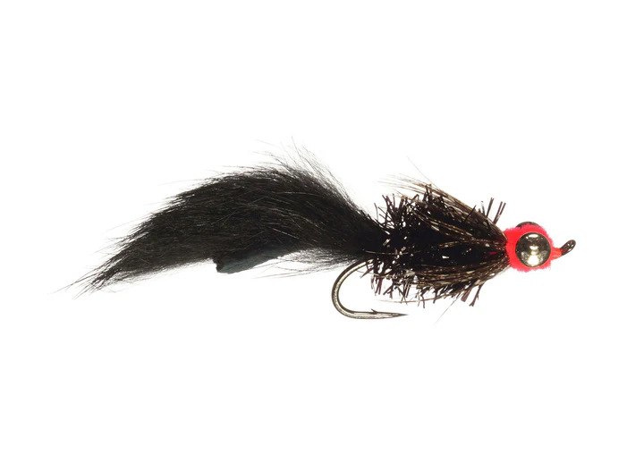 Fat Cat Leech fly in black color.