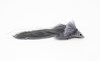 Jumbo Deer Hair Diver Bass Pike Musky Fly Grey