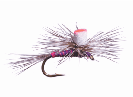 Purple Nurple Dry Fly For Sale