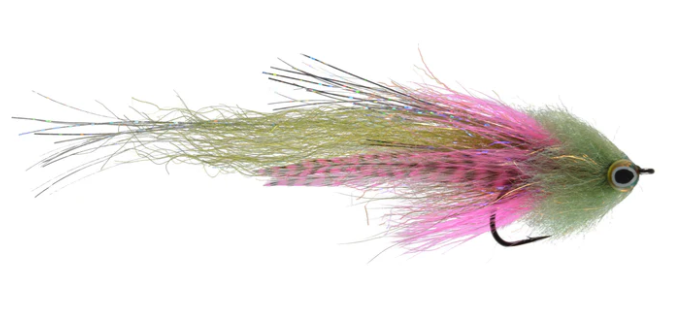 Satkowski Jurassic Pork Rainbow color