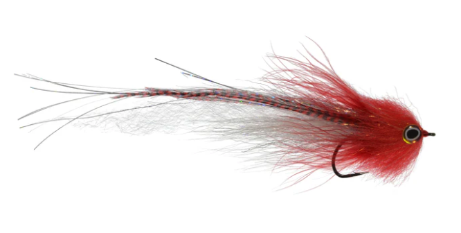 Satkowski Jurassic Pork fly in red white color