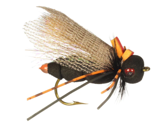 Buy Rainy's Ultimate Cicada Fly online for the best cicada fishing flies for sale.