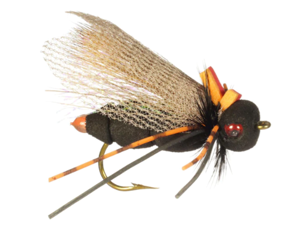 Rainy's Ultimate Cicada Fly