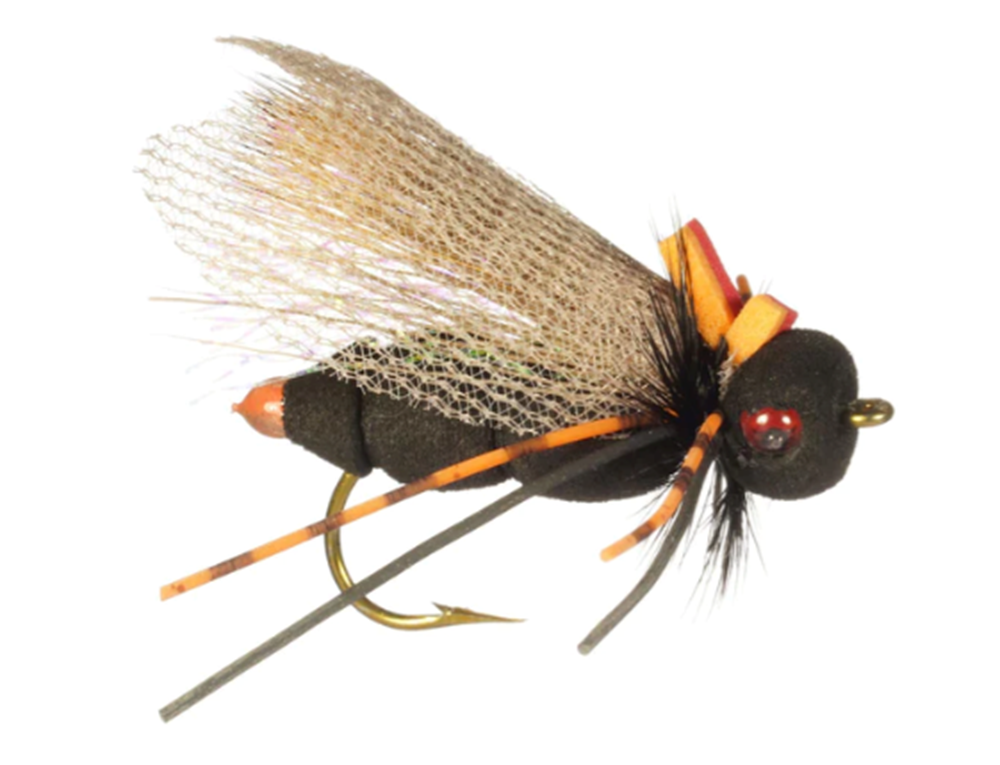 Realistic Cicada Fly - FrostyFly