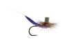 Rainys X Fly Purple