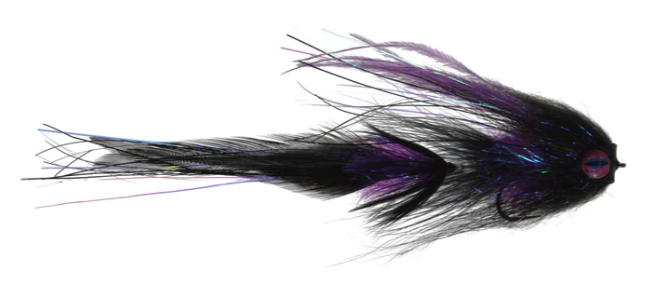Satkowski's Zombie Fluke fly in black purple color
