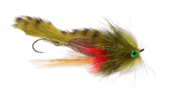 Bandit Sculpin Fly in olive color