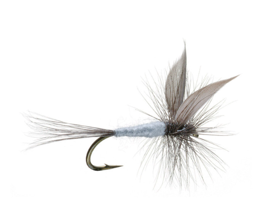 Blue Dun Dry Fly