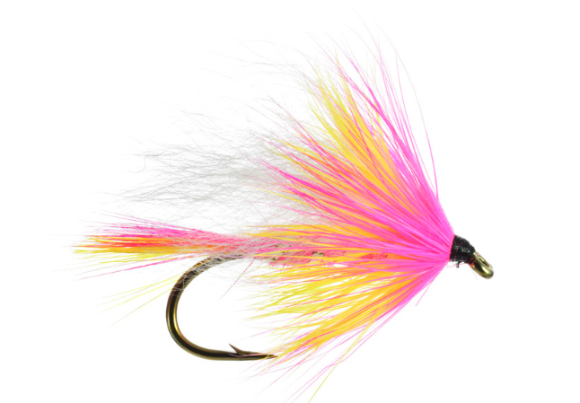 Borden Special Steelhead Fly