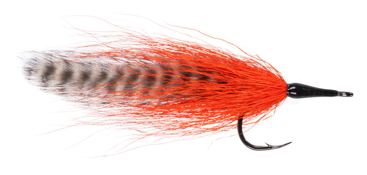 Cockroach Tarpon Fly in grizzly color with orange accent