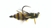 The perfect dragonfly nymph imitation for chasing trout and panfish