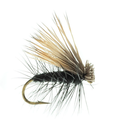 Elk Hair Caddis Dry Fly for Trout