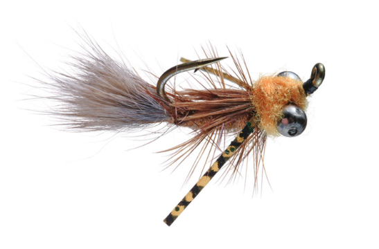 Headstand Carp Fly