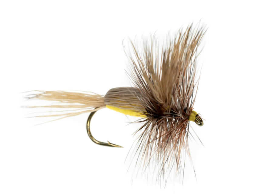 Humpy Dry Fly Trout