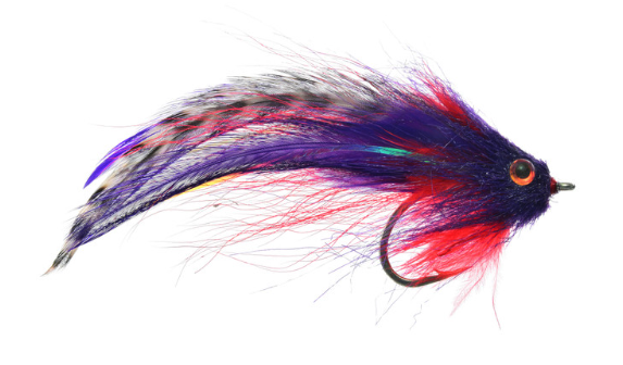 Order the best peacock bass fishing flies for sale online