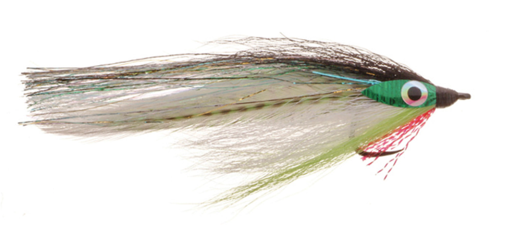 Page Rogers' Big Eye Baitfish is a go to fly when fishing for pike and musky