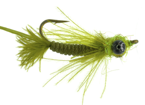 The perfect nymph pattern for trout and panfish now available online and in store for sale