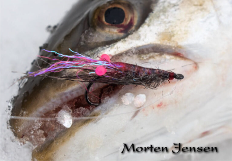 Best materials for fly tying shrimp patterns.