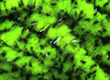 Hareline UV Mottled Galaxy Mop Chenille Fl Chartreuse