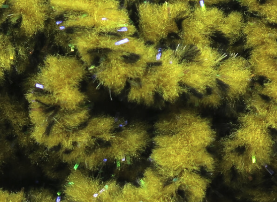Hareline UV Mottled Galaxy Mop Chenille Light Olive