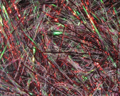 Senyo's Aqua Veil Pepperoni