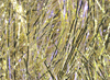 Hareline UV Polar Chenille Gold UV