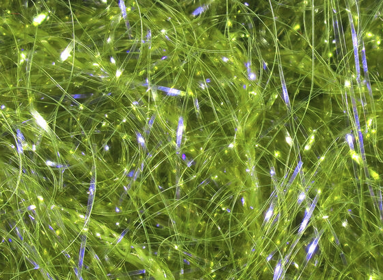 Hareline UV Polar Chenille Olive UV